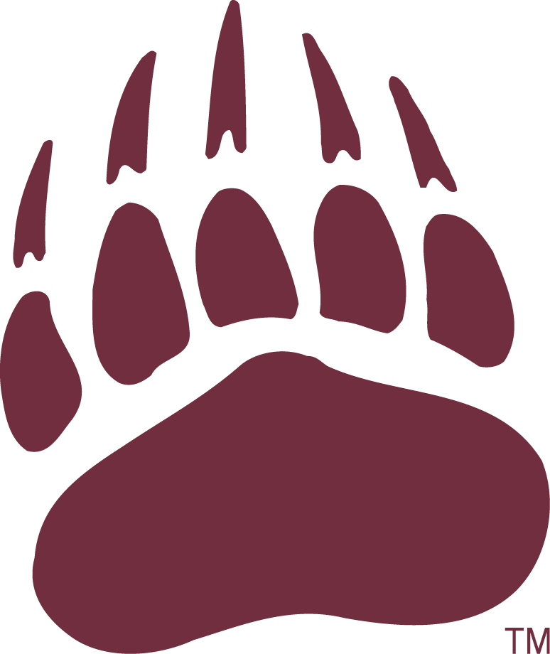 Montana Grizzlies 1996-Pres Secondary Logo v2 iron on transfers for T-shirts